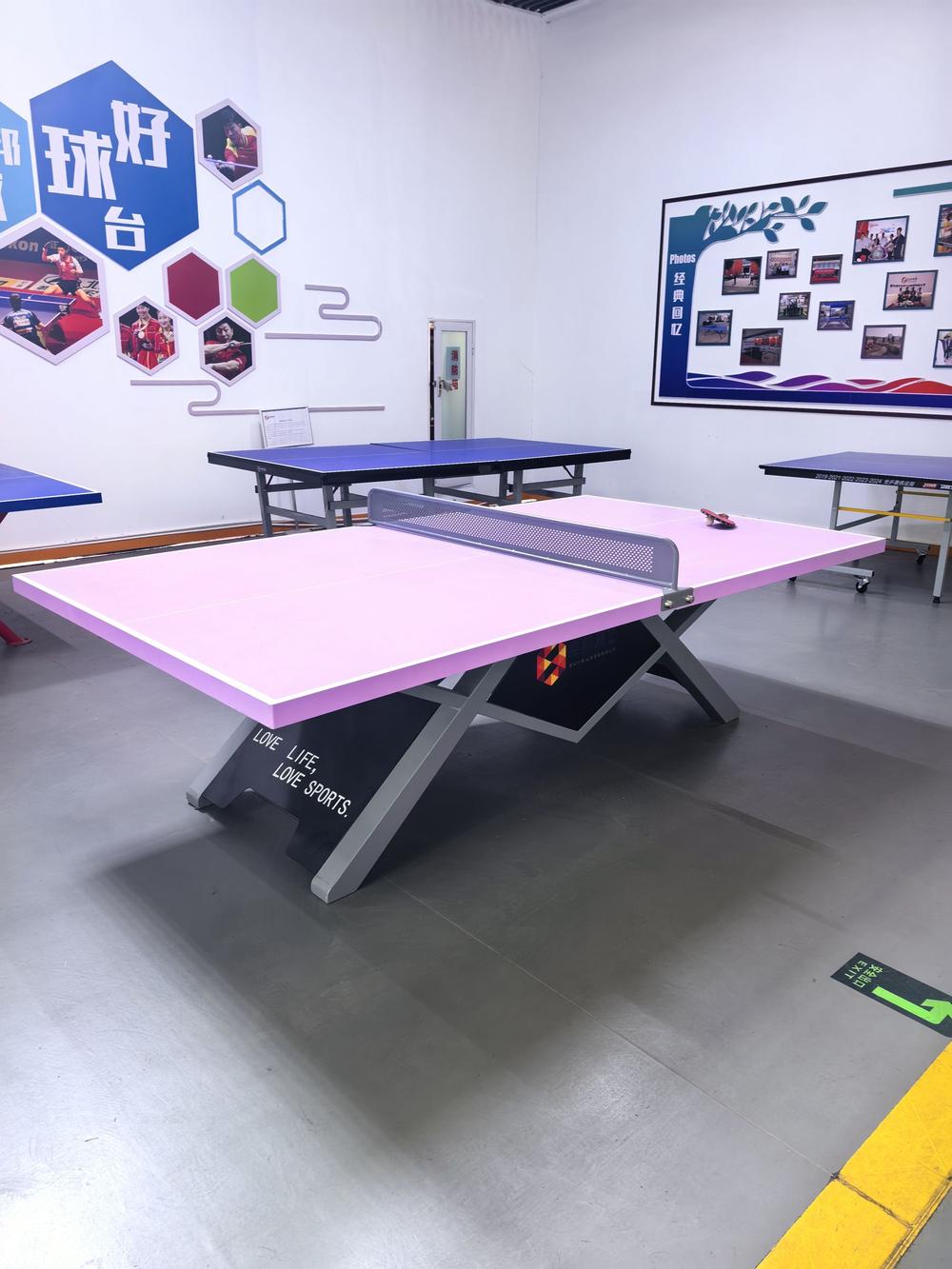 SMC Table Tennis Table OEM Manufacturer